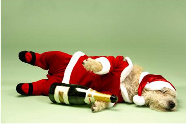 Drink_responsibly_during_festive_the_season