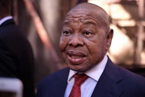 Blade Nzimande Higher Education