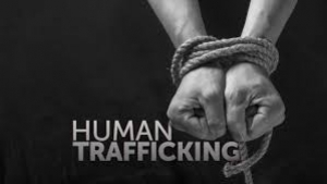 Stop Human Trafficking
