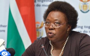 Minister Phumla Williams