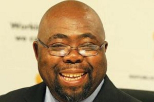 Thulas Nxesi MEC